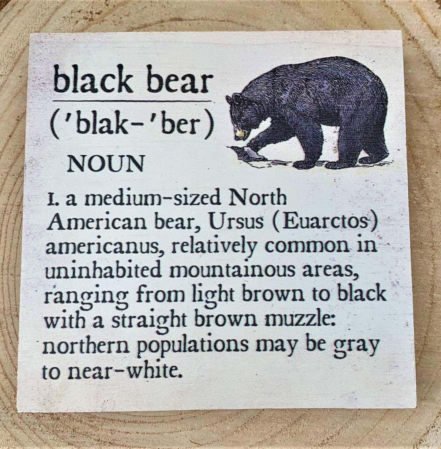 Black Bear Definition Sign – The Indian Tepee